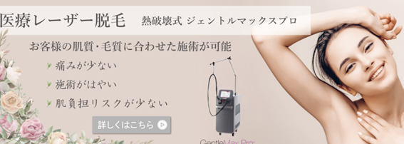 ひろ耳鼻科皮膚科形成外科の紹介