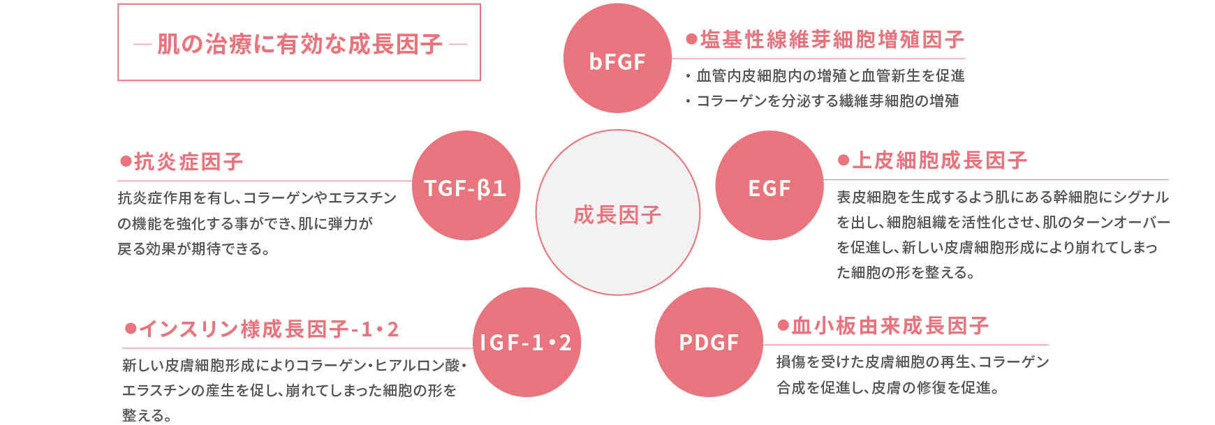 ヒト幹細胞上清液