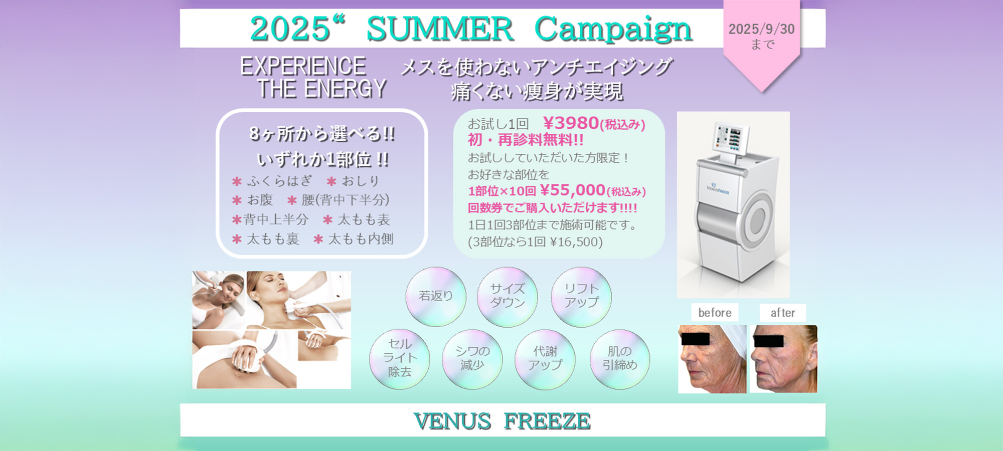 2025サマーキャンペーン ヴィーナスフリーズ